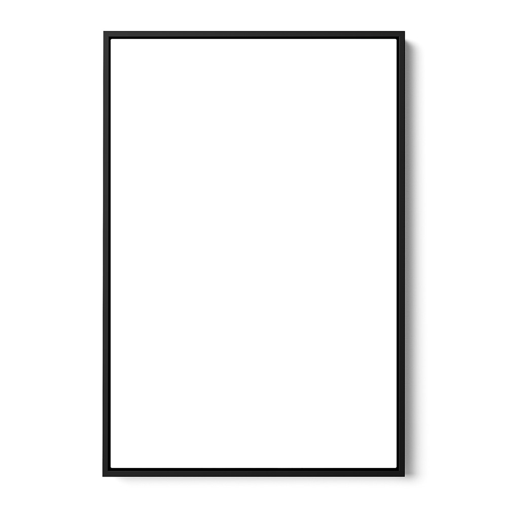 Canvas Print Size & Frame Upgrade (0000)