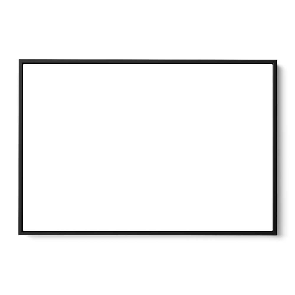 Canvas Print Size & Frame Upgrade (0000)