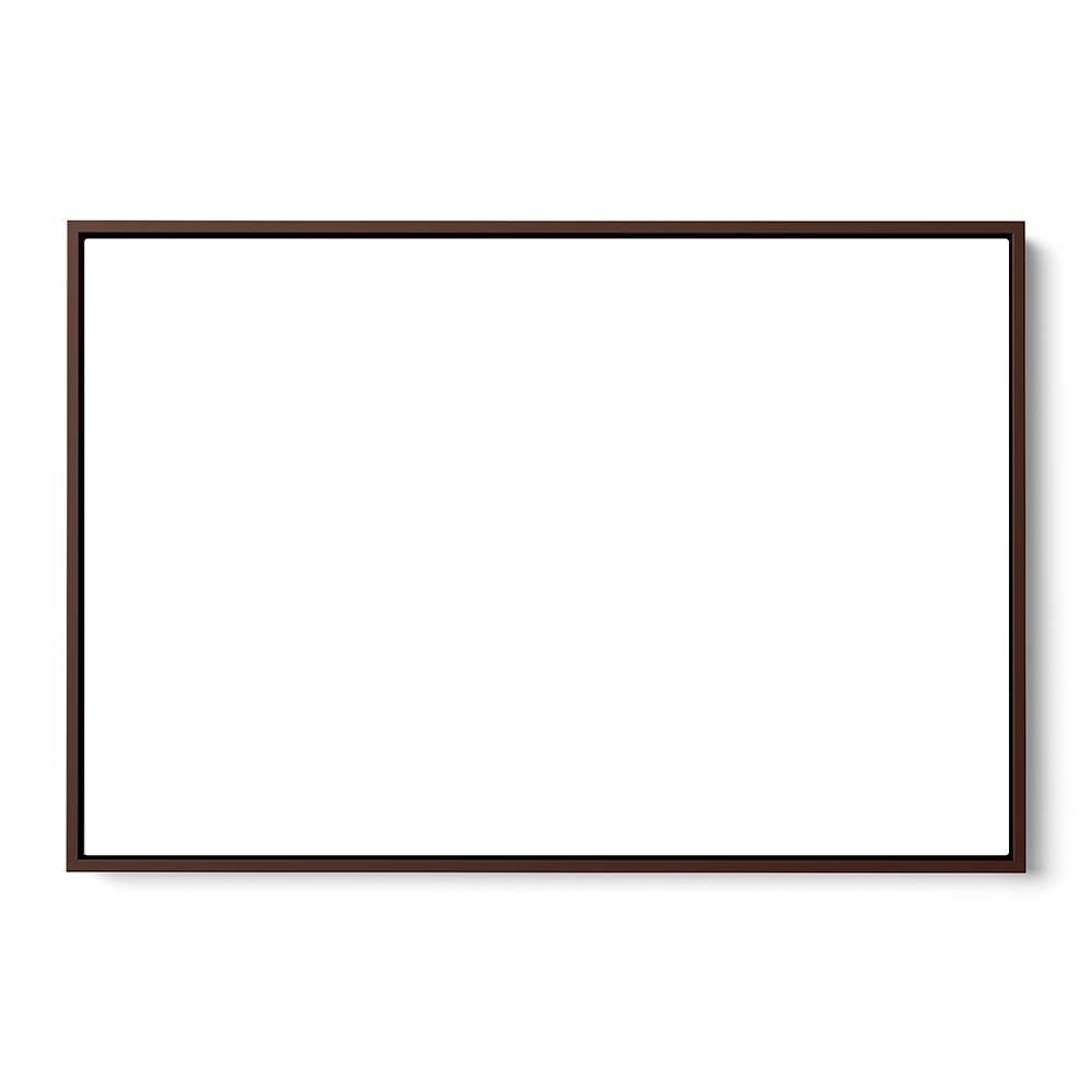 Canvas Print Size & Frame Upgrade (0000)