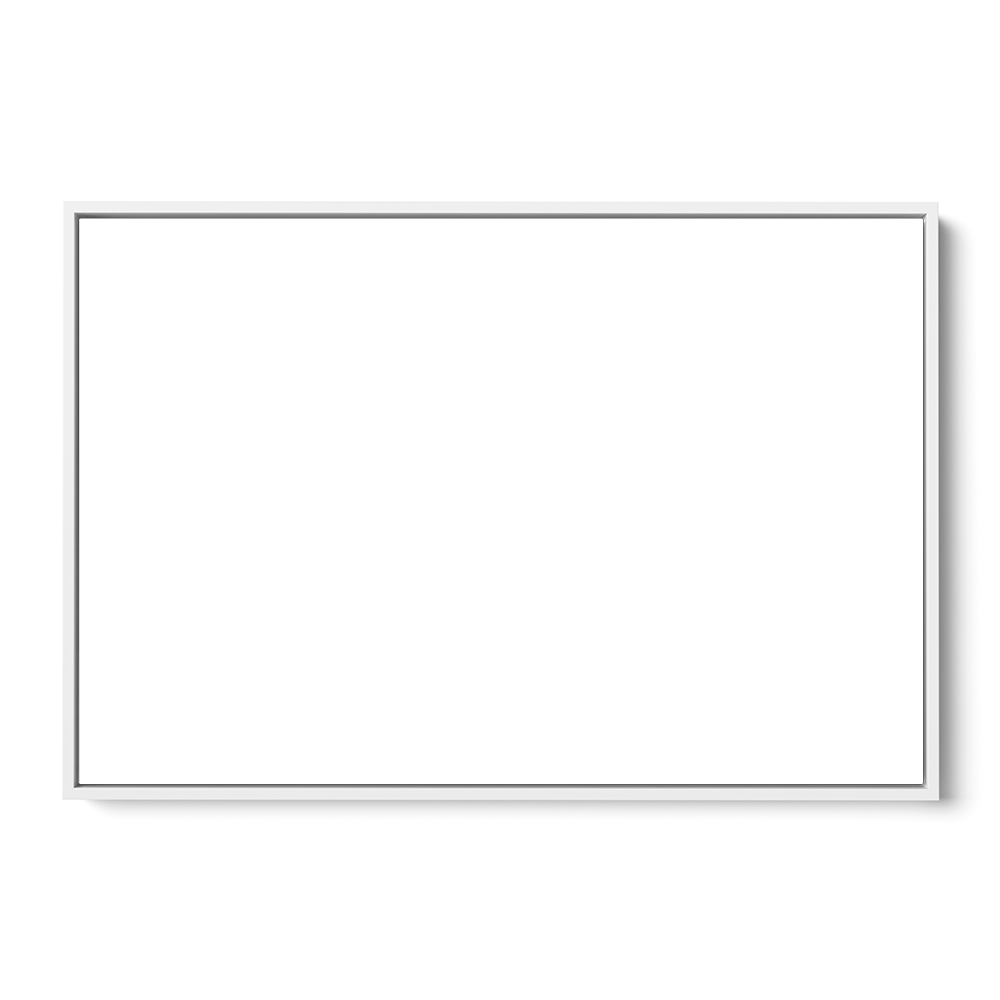 Canvas Print Size & Frame Upgrade (0000)