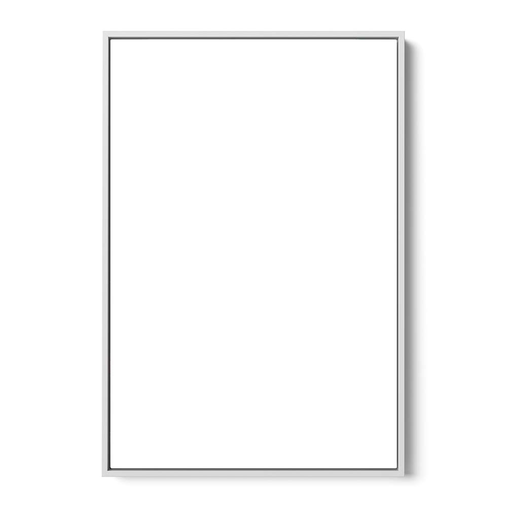 Canvas Print Size & Frame Upgrade (0000)
